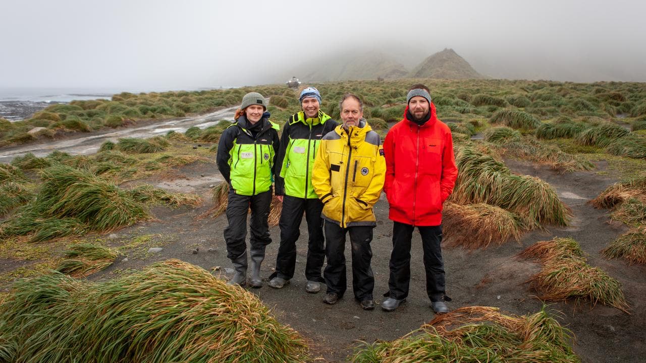 Four people standing on Macquarie Island.
