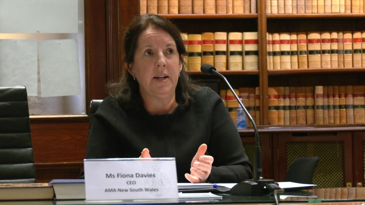 Fiona Davies at the parliamentary inquiry.