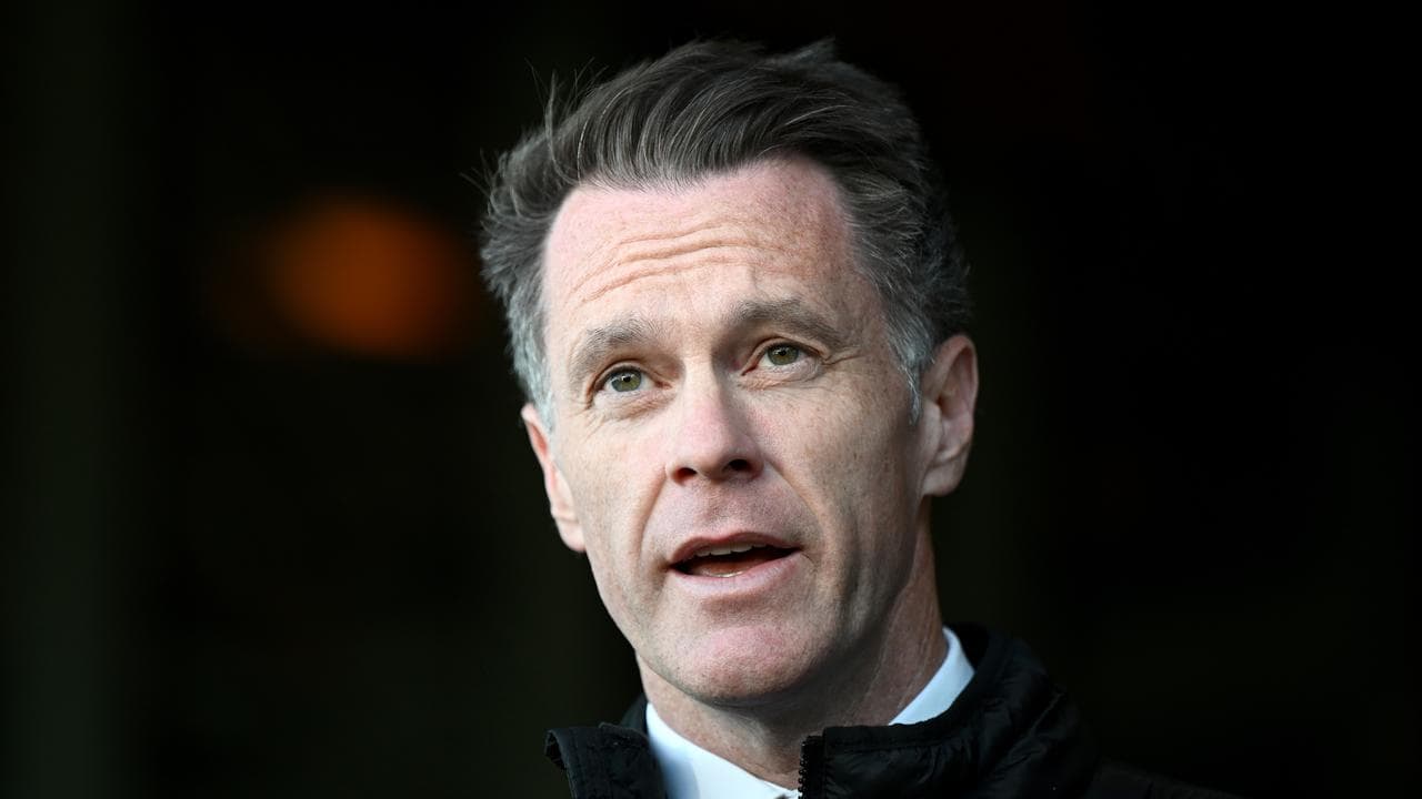 NSW Premier Chris Minns speaks to the media (file)