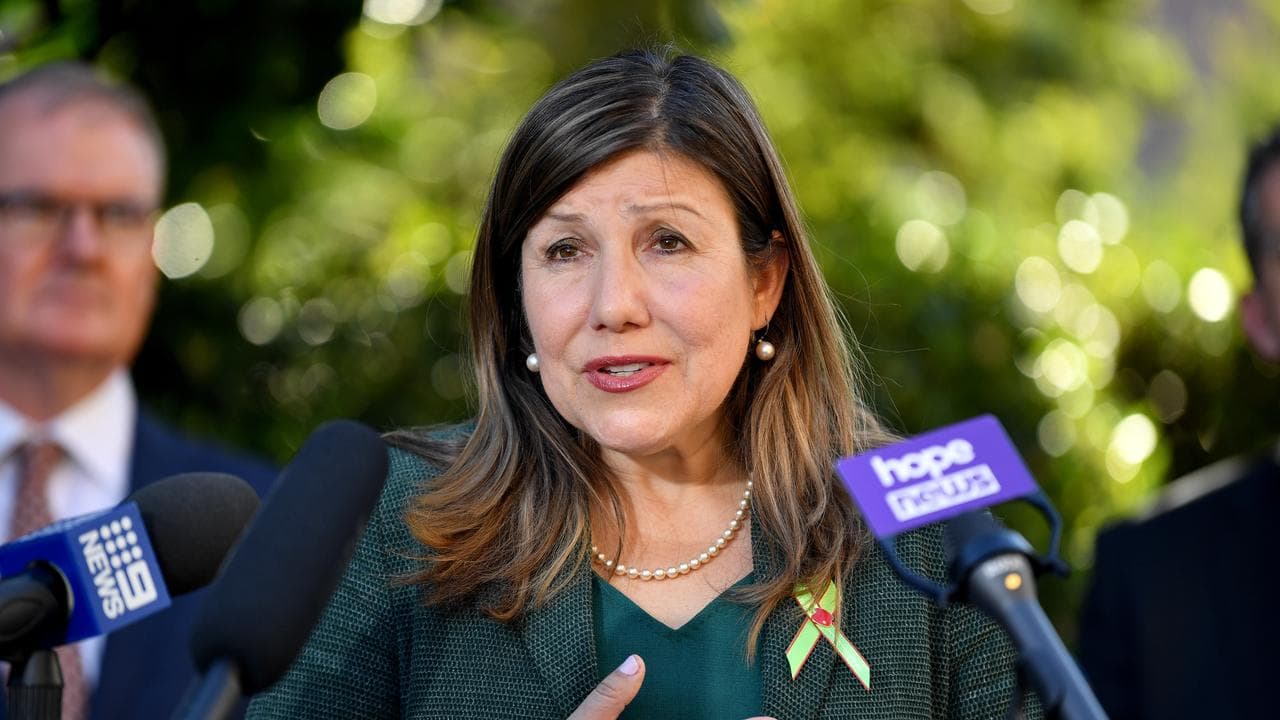 NSW Minister for Industrial Relations and Work Safety Sophie Cotsis