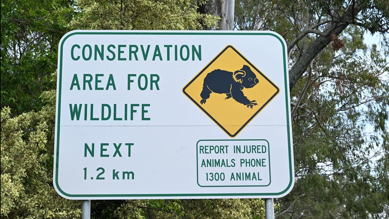 Koala conservation sign