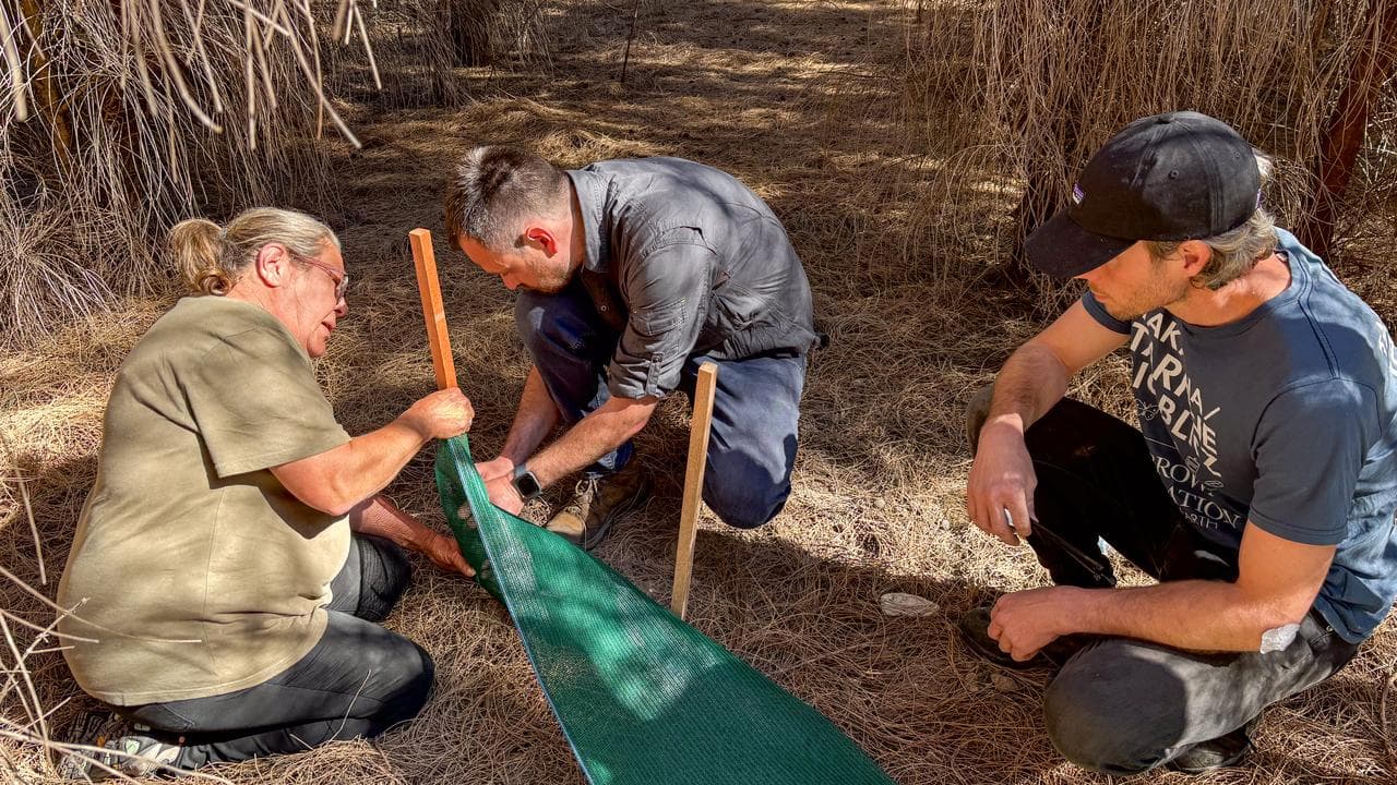 Trapping only detected three native animal species.