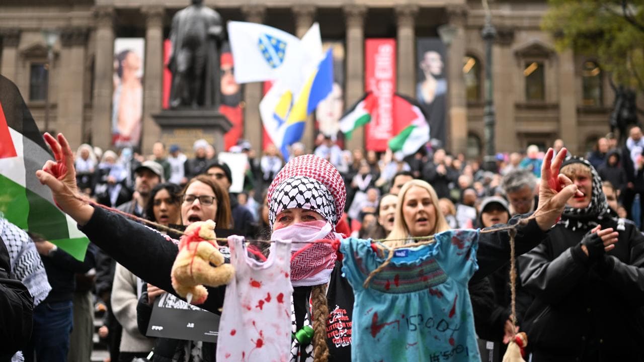 Pro-Palestine supporters 