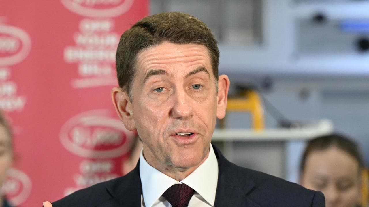 Deputy Premier Cameron Dick.