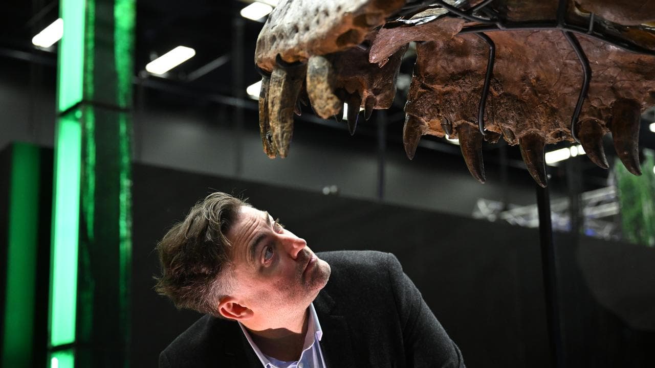 Palaeontologist Erich Fitzgerald
