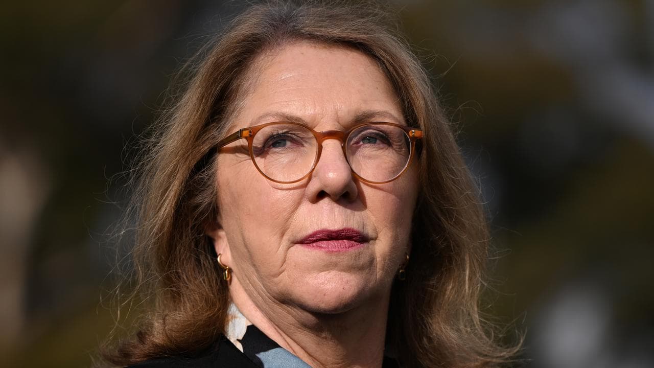 Catherine King (file image)