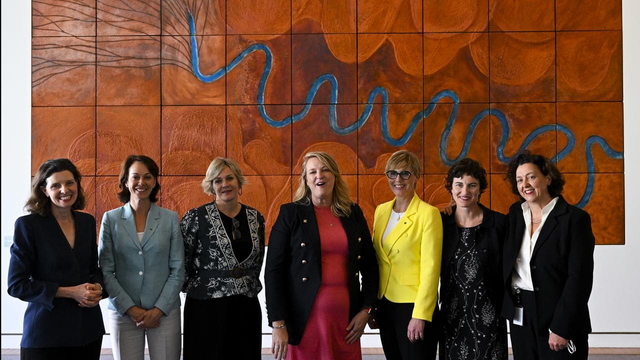 Teal independent MPs