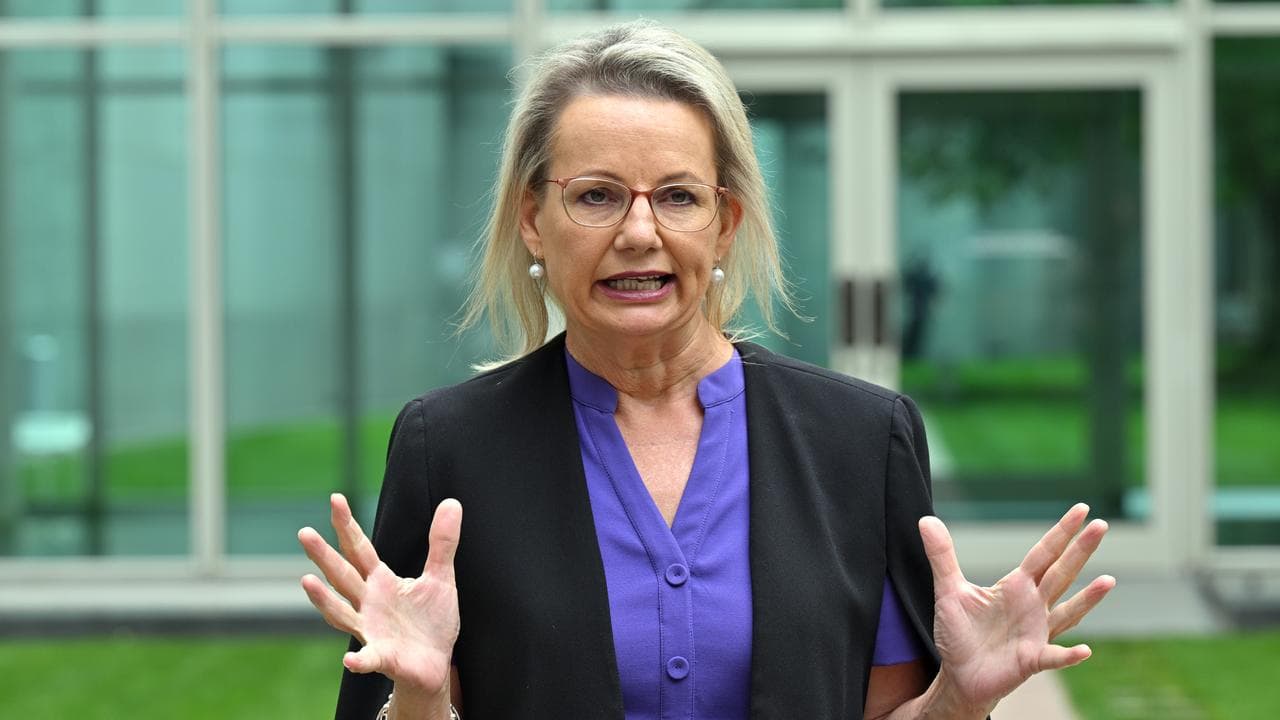 Sussan Ley (file image)