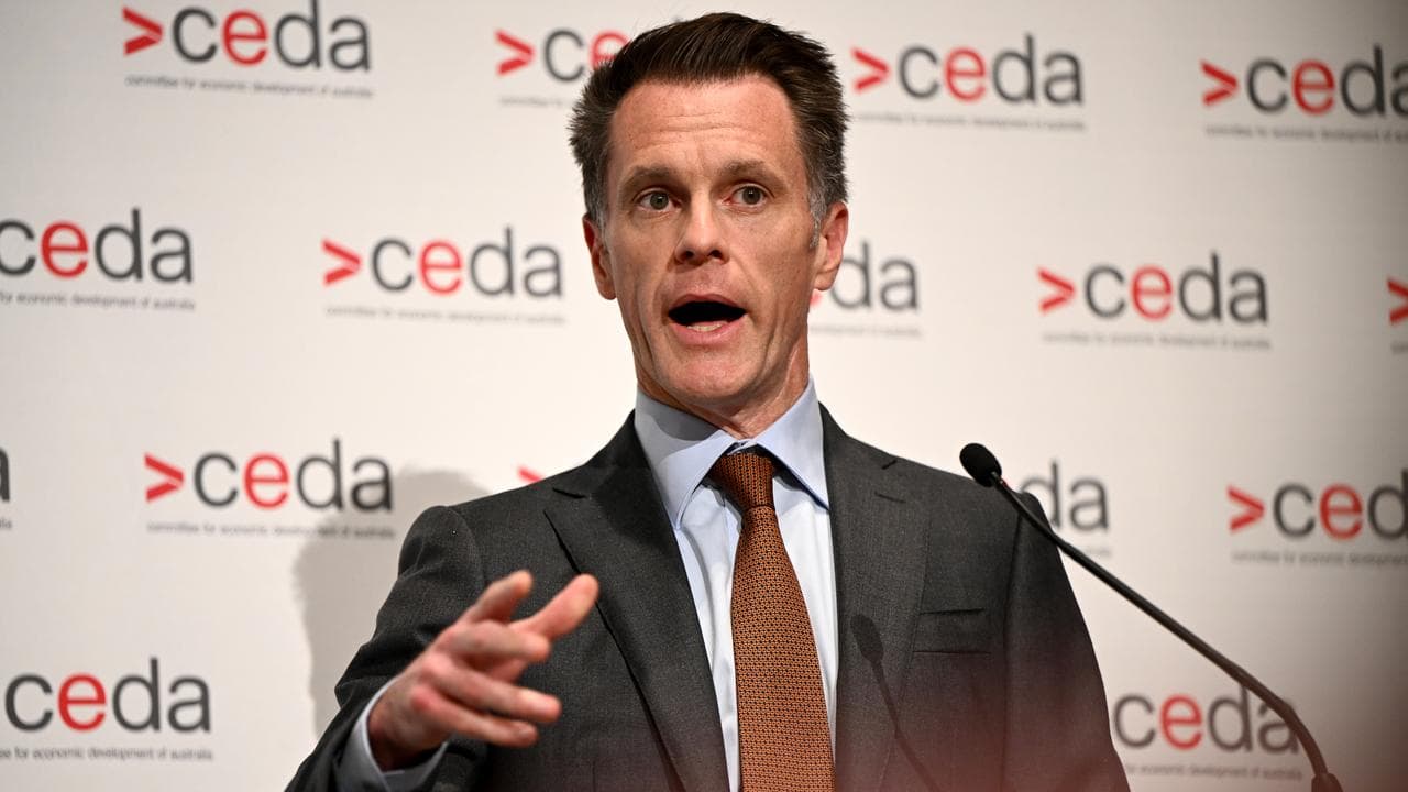 NSW Premier Chris Minns