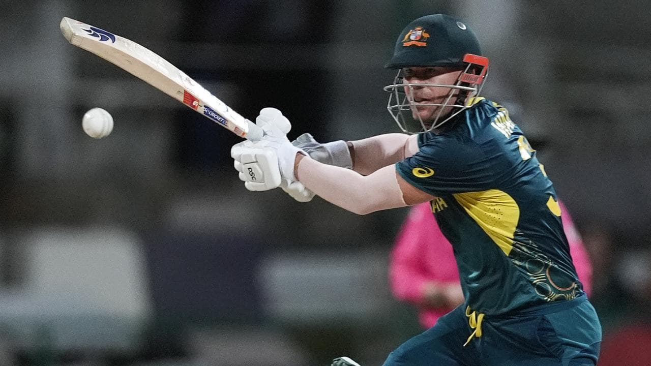 Australian opener David Warner.