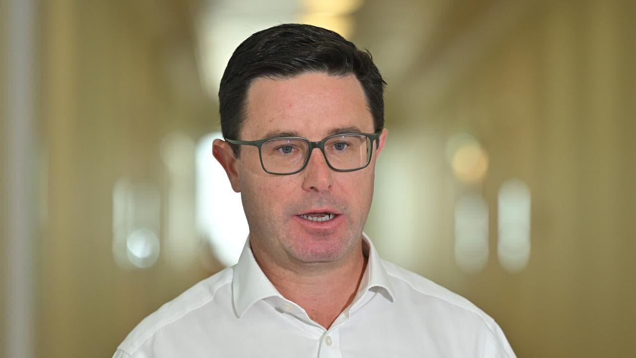 Nationals leader David Littleproud