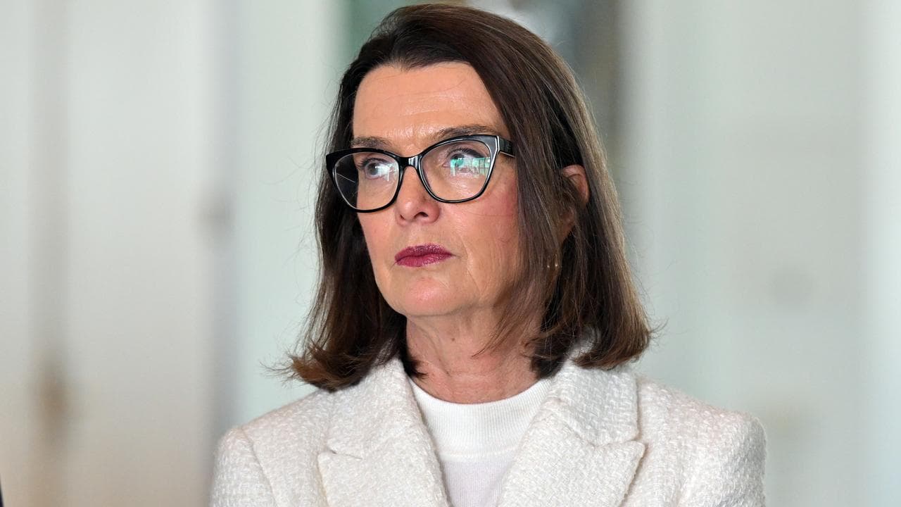 Opposition health spokeswoman Anne Ruston at a press conference.