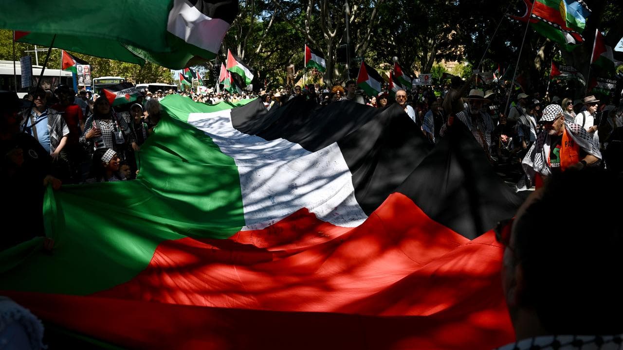 Protestors hold a Palestinian flag