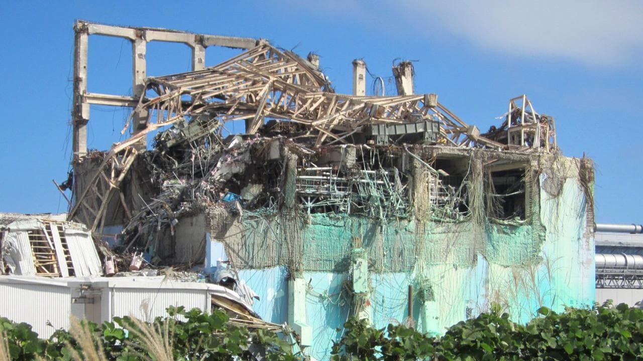 Fukushima reactor damage