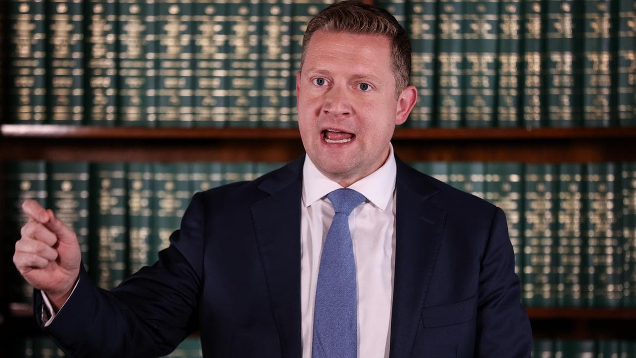 Shadow Treasurer Brad Rowswell (file image)