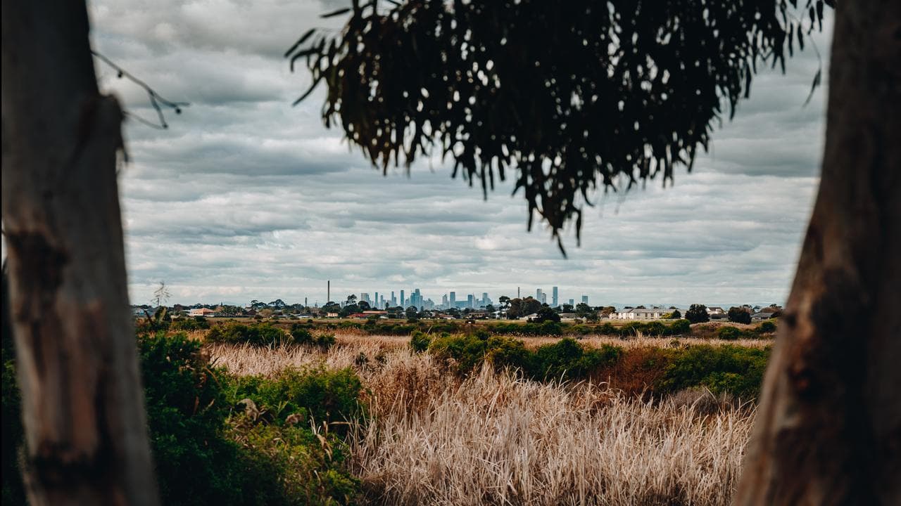 A Forest for Australia land art