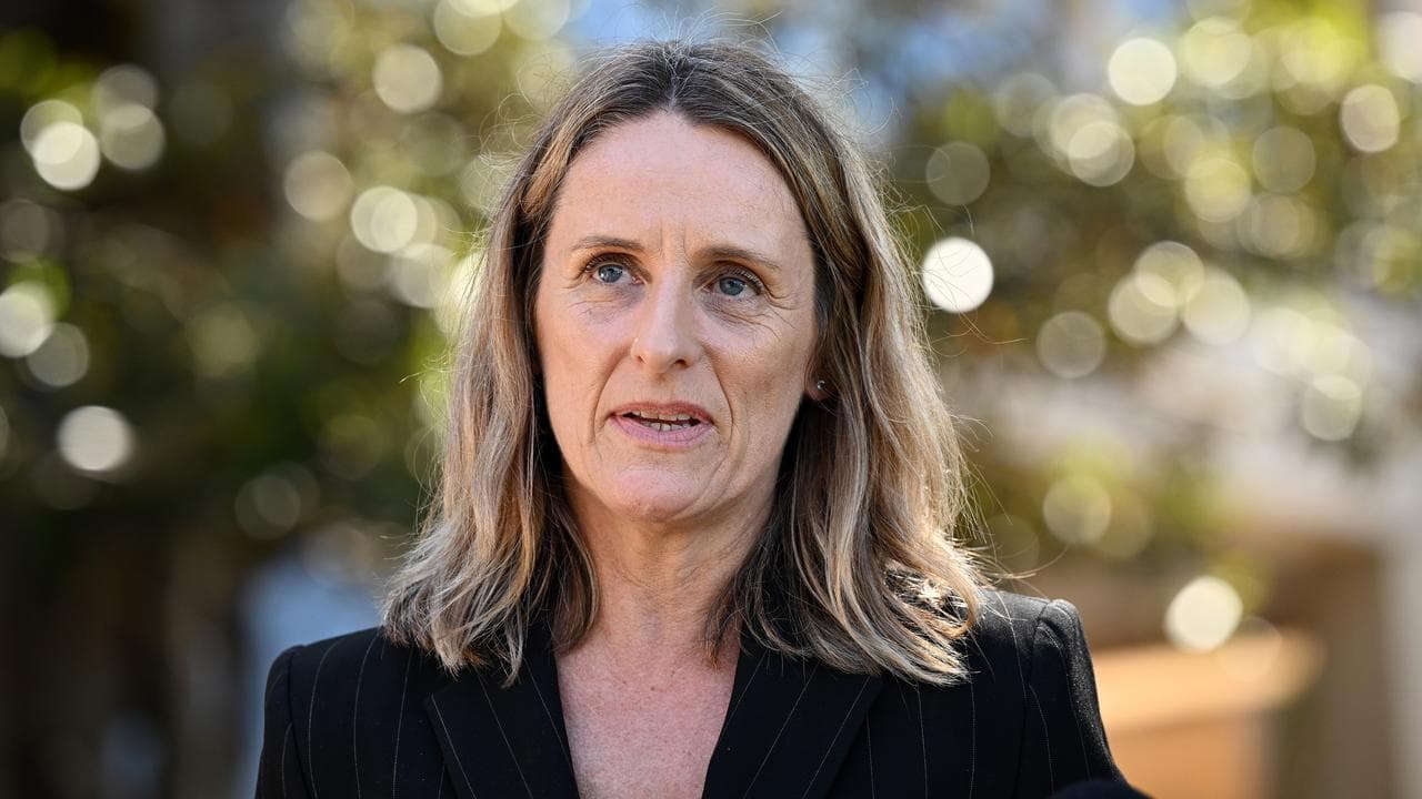 NSW Greens MP Sue Higginson