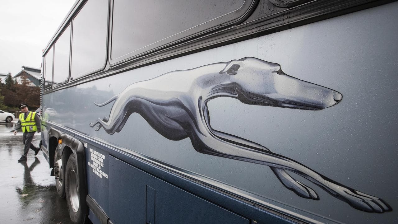 Greyhound bus
