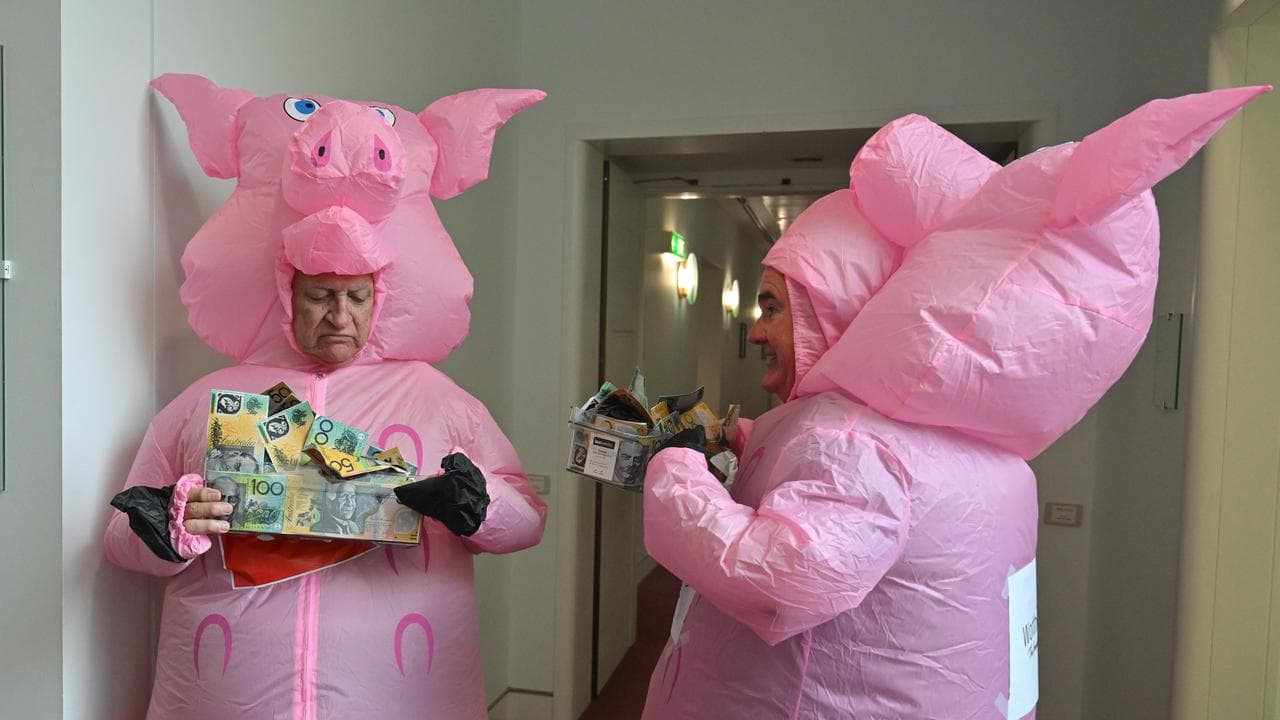 Bob Katter dressed as a pig.