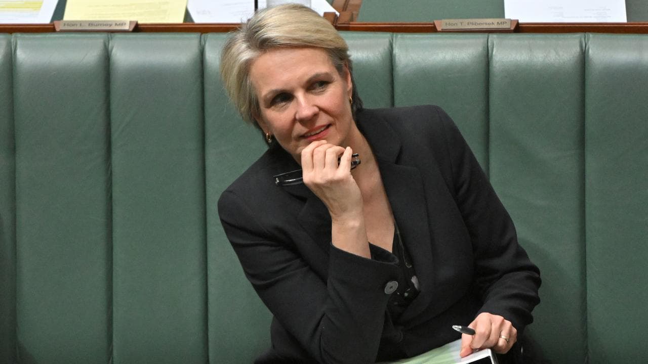 Minister for Environment Tanya Plibersek