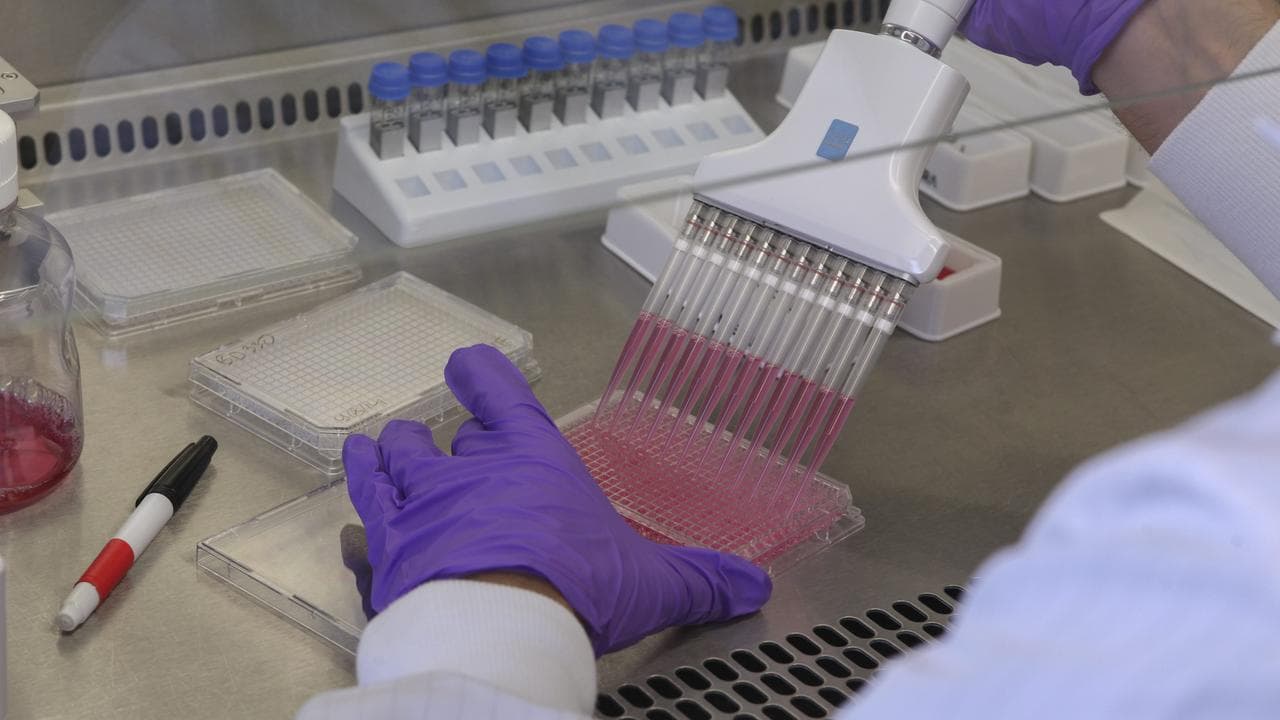 A person studies cells.