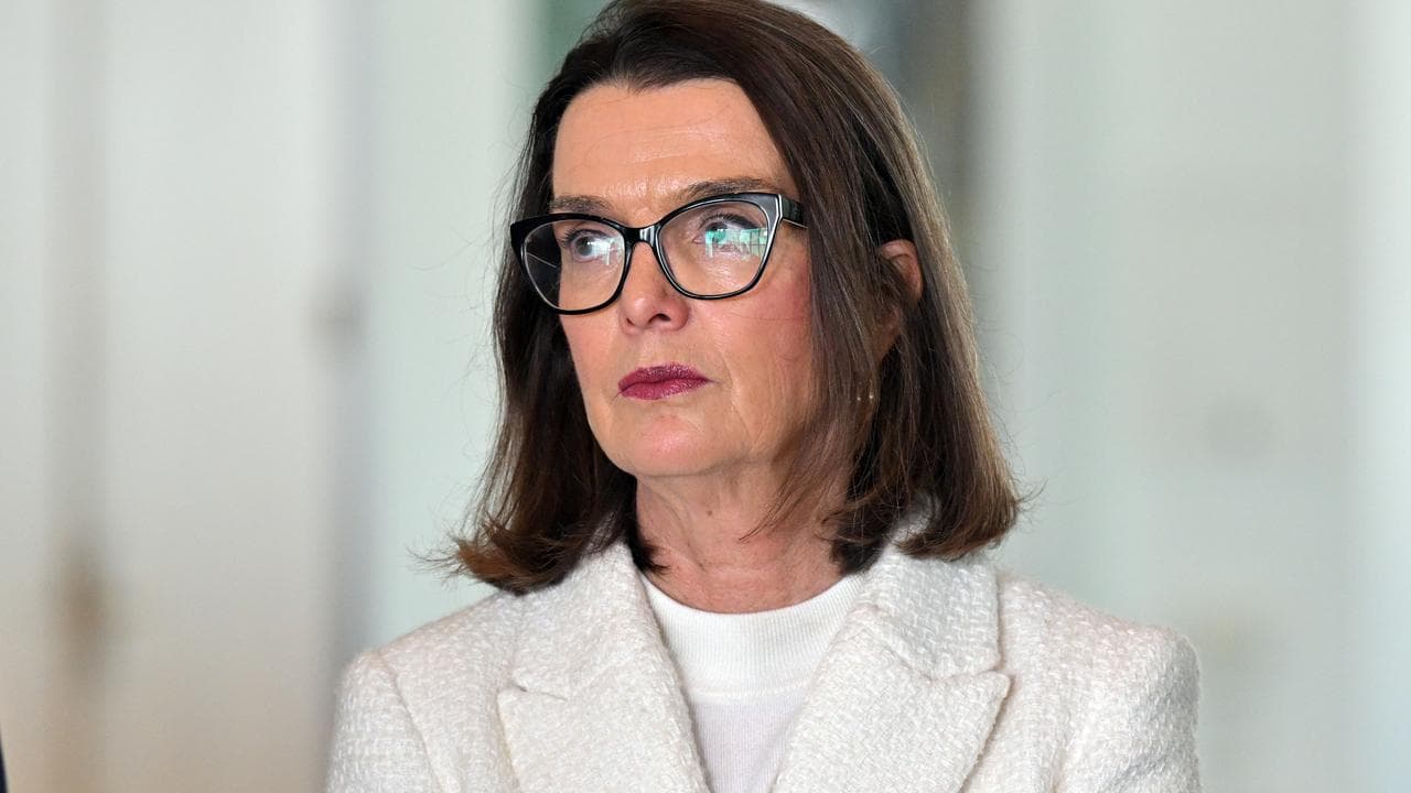 Anne Ruston at a press conference.