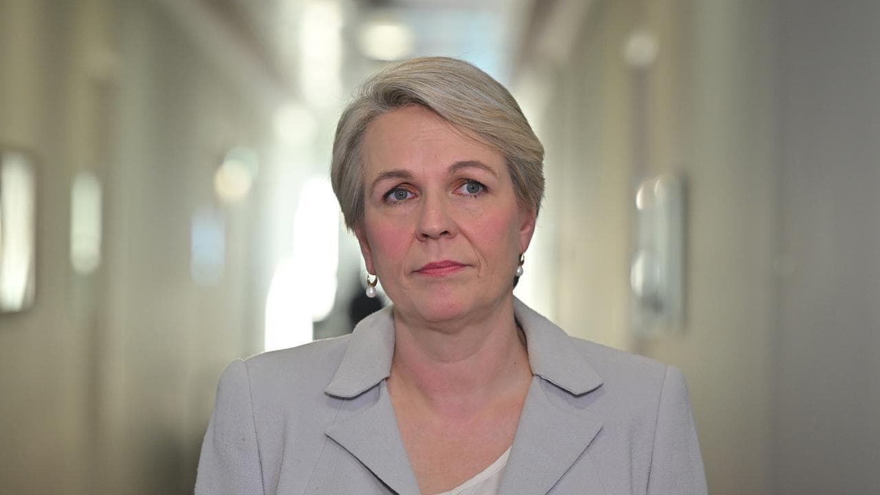 Federal Environment Minister Tanya Plibersek