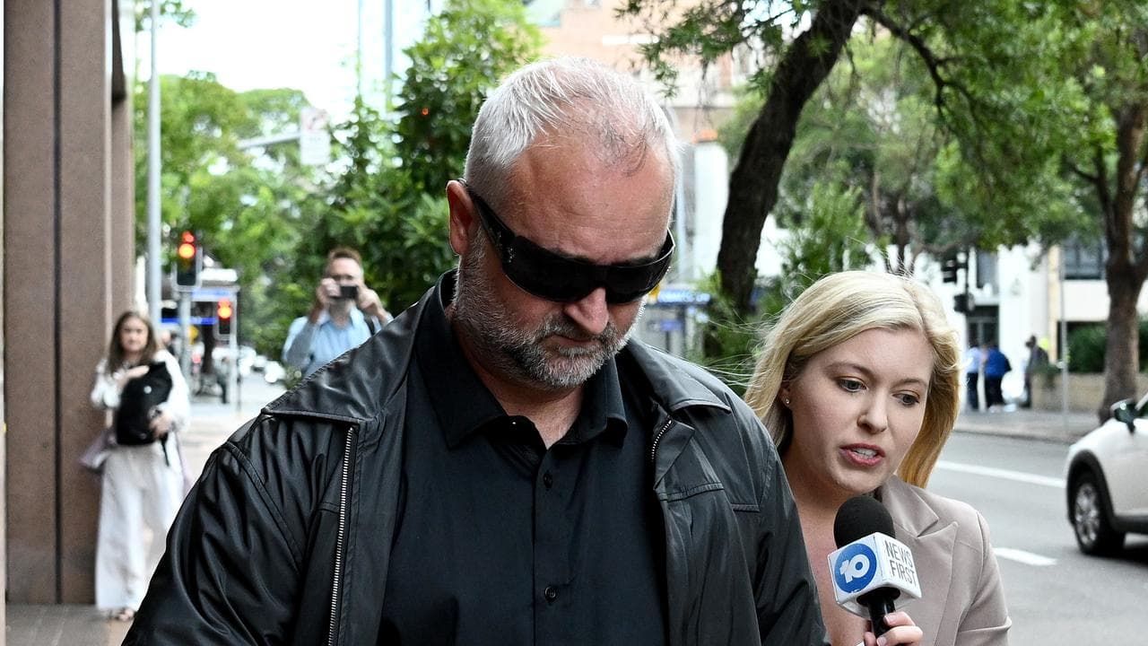 Marijan Lisica (file image)