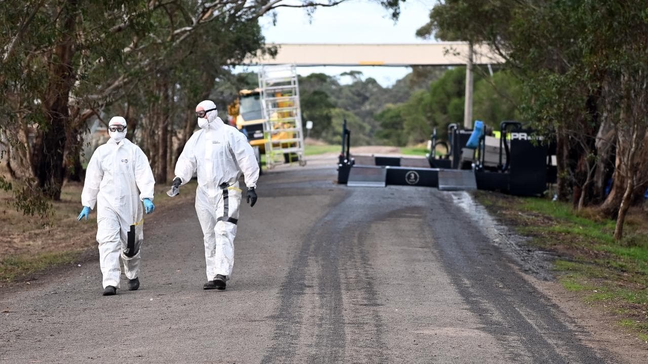 Two people in hazmat suits walk along a road.
