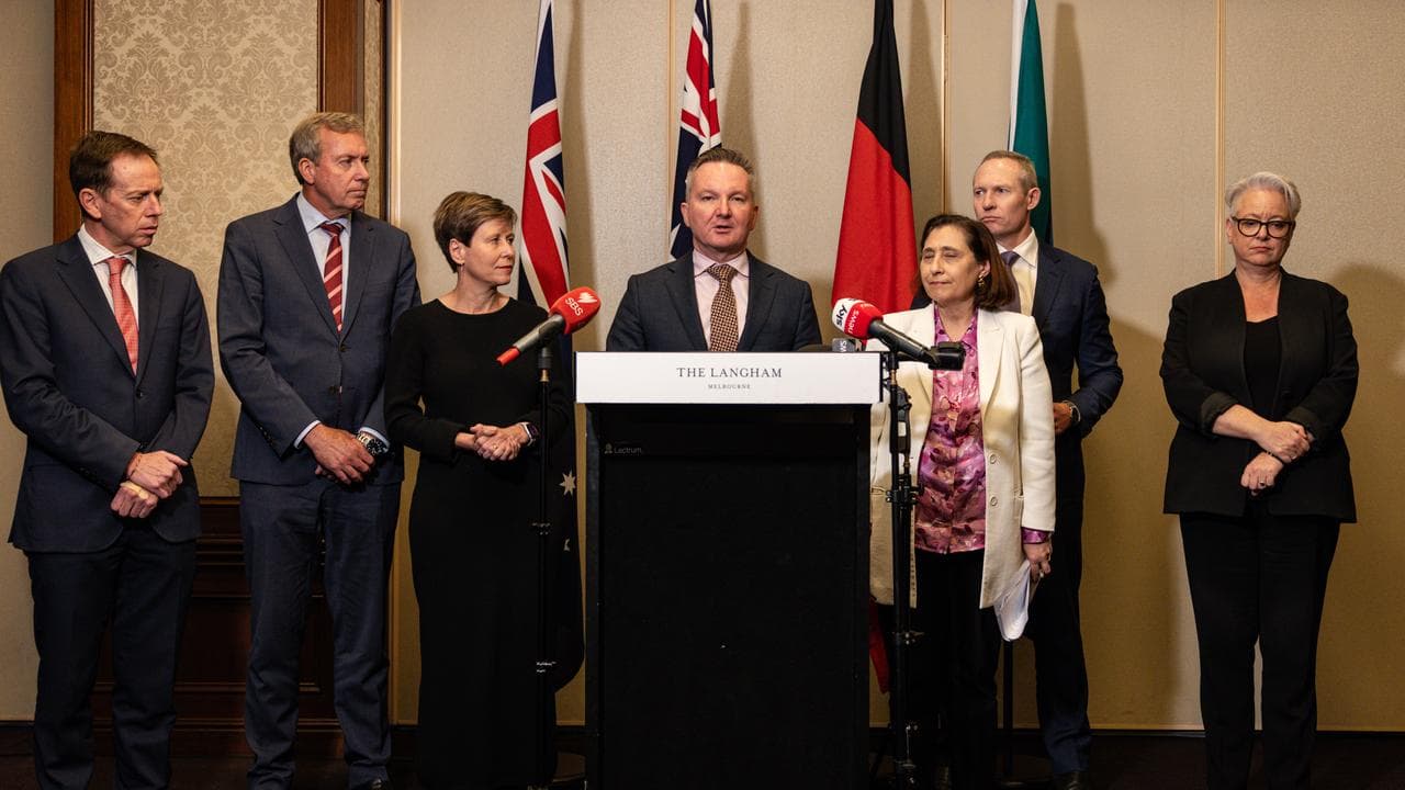 Chris Bowen and state ministers speak to media