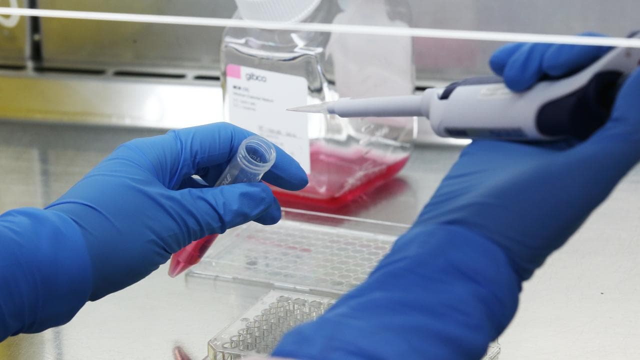 A person works in a laboratory.