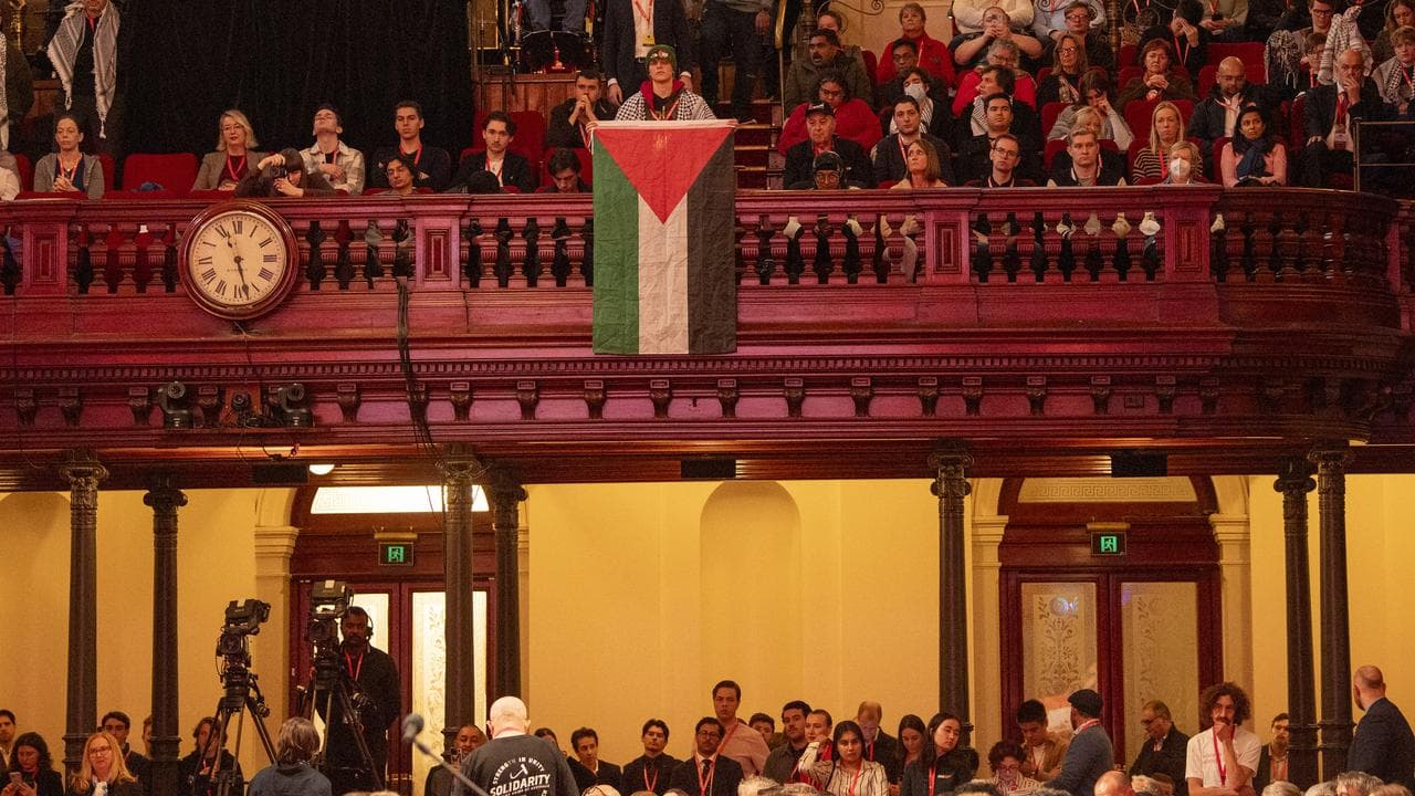 The Palestinian flag is shown by a member