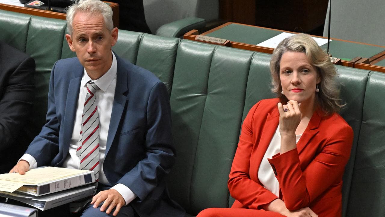 Andrew Giles and Clare O'Neil