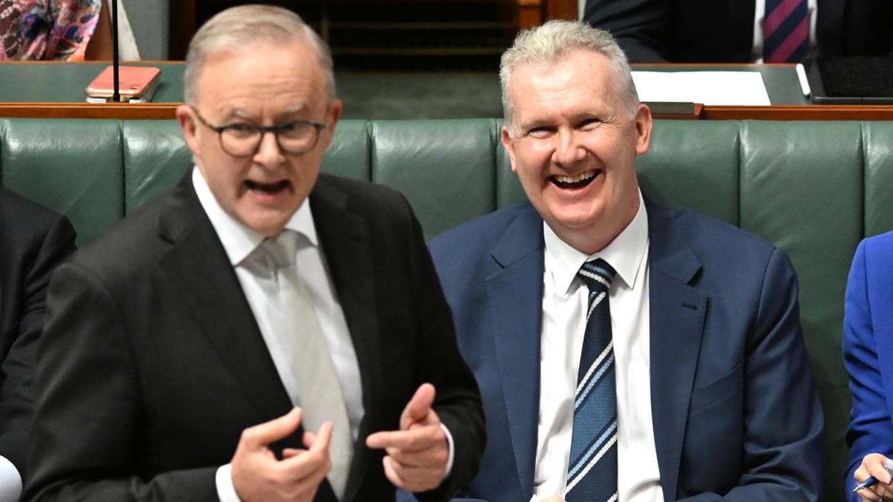 Anthony Albanese and Tony Burke 