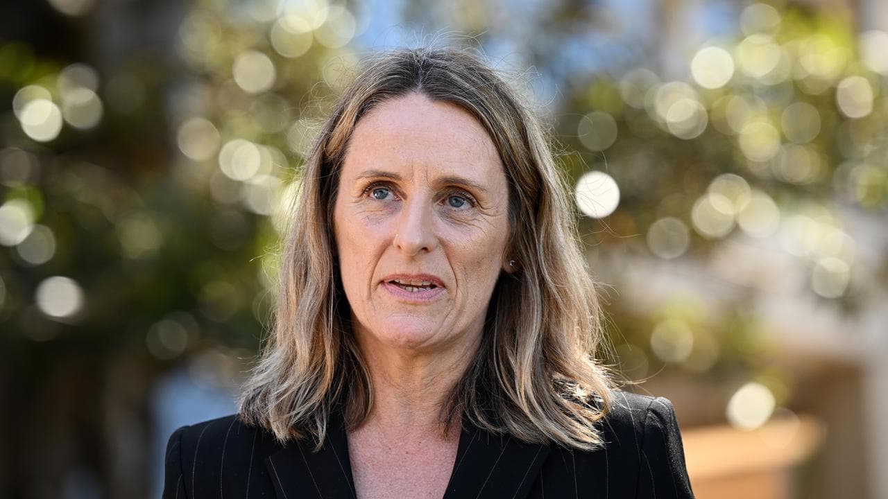 NSW Greens MP Sue Higginson (file image)