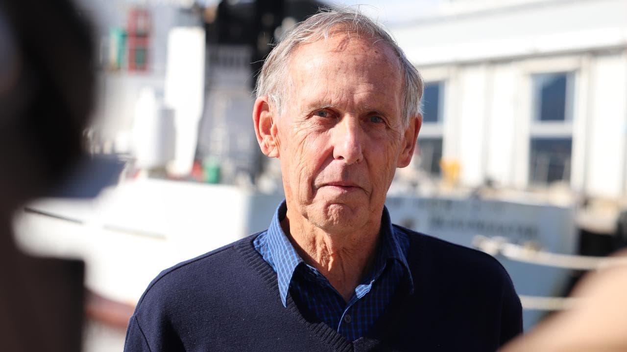 Environmentalist Bob Brown speaks to the media