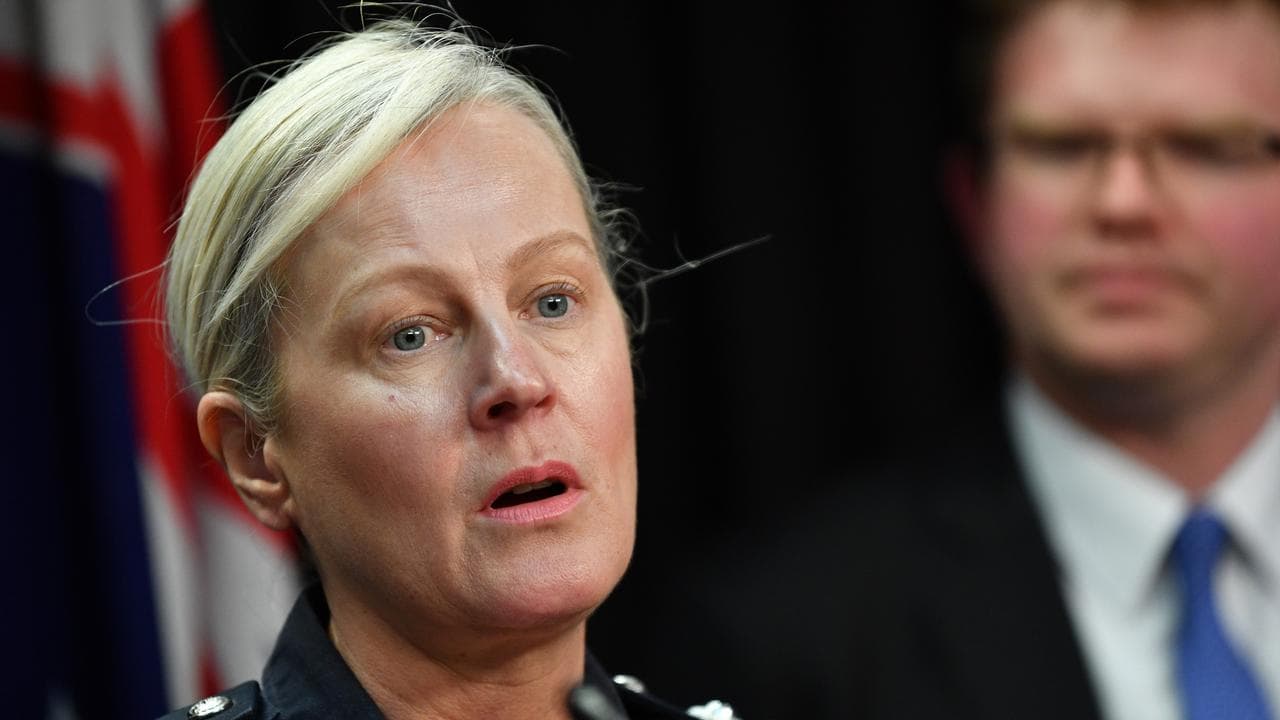 Deputy Police Commissioner Linda Williams (file image)