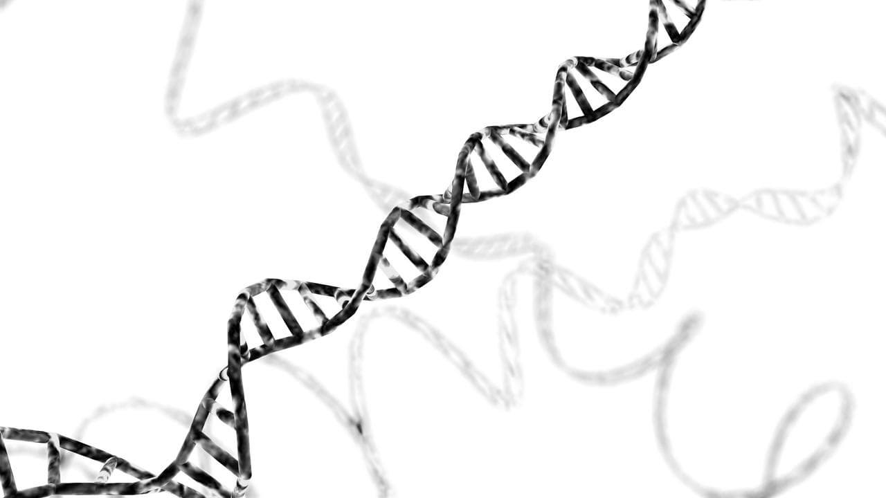 Deoxyribonucleic acid (DNA)