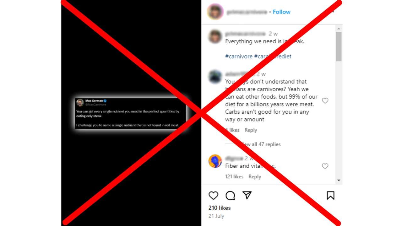 Crossed out Instagram post says steak provides all our nutrients.