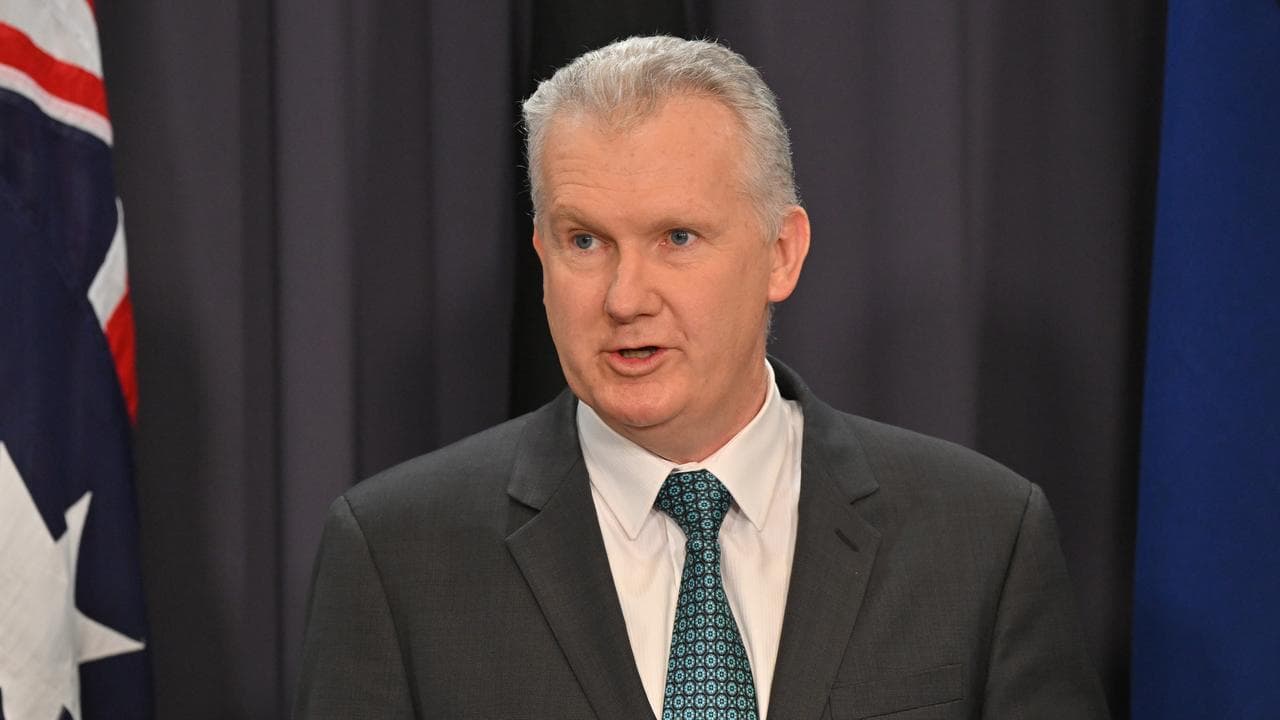 Immigration Minister Tony Burke