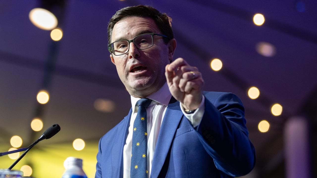 Nationals leader David Littleproud