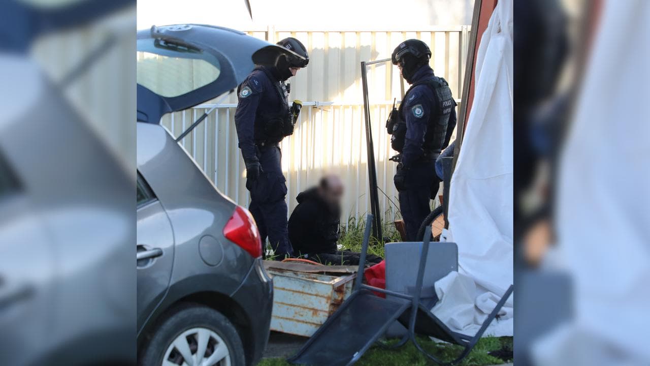 Arrest of a man over the theft of collectible Bluey coins