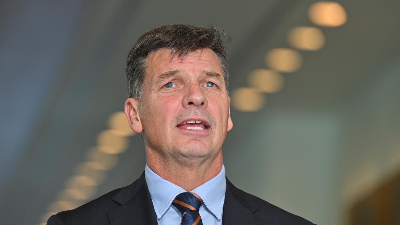 Shadow Treasurer Angus Taylor