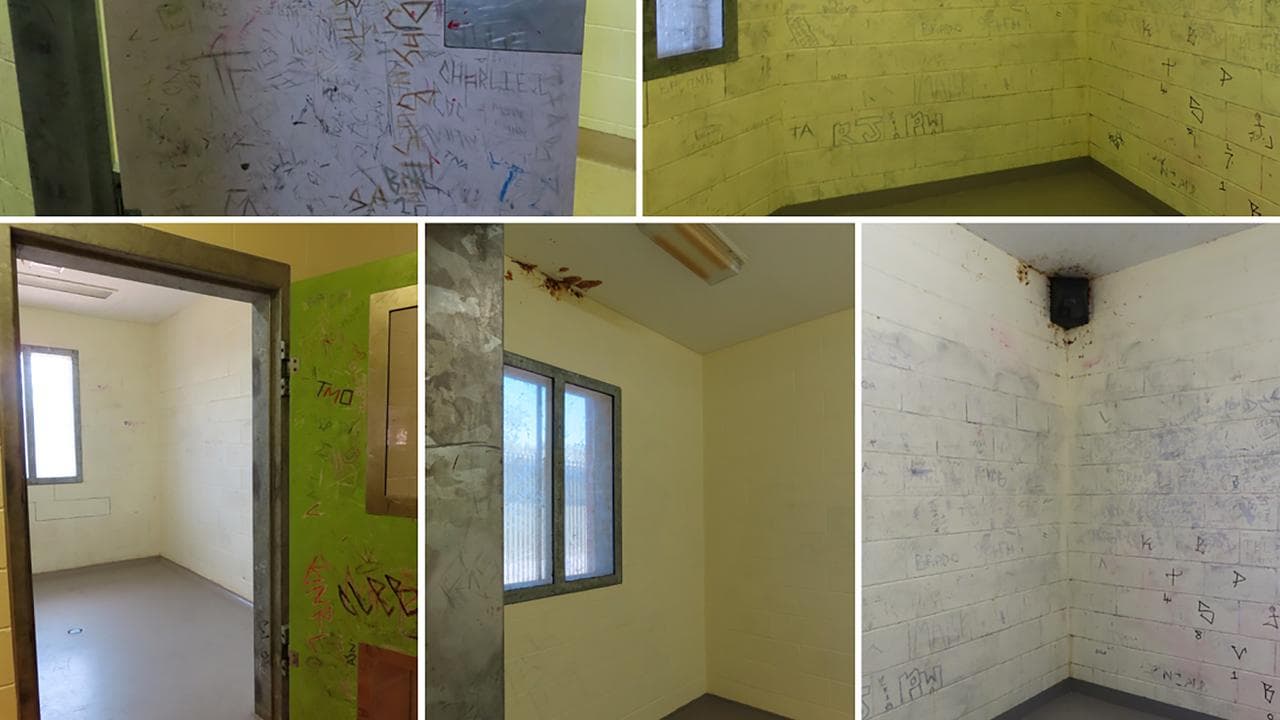 Picture of bare cells.