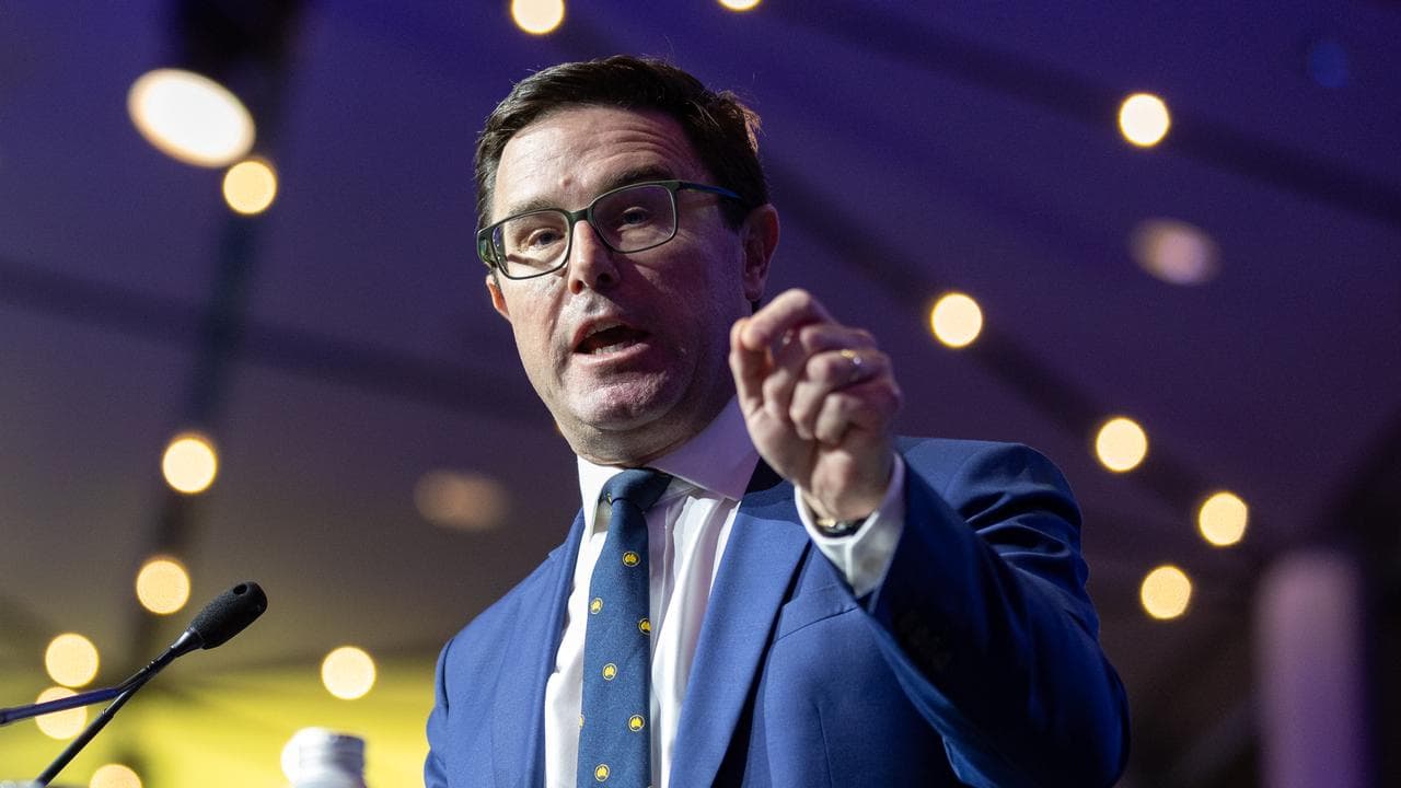 Nationals leader David Littleproud