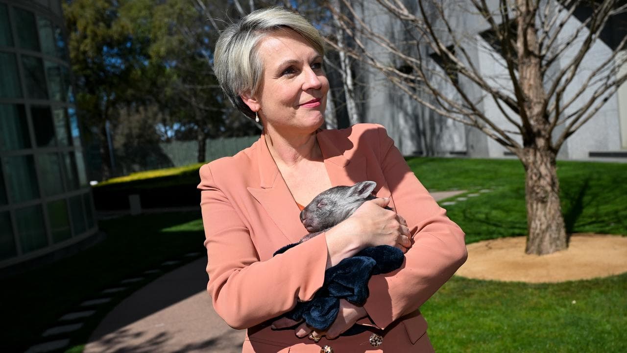 Tanya Plibersek