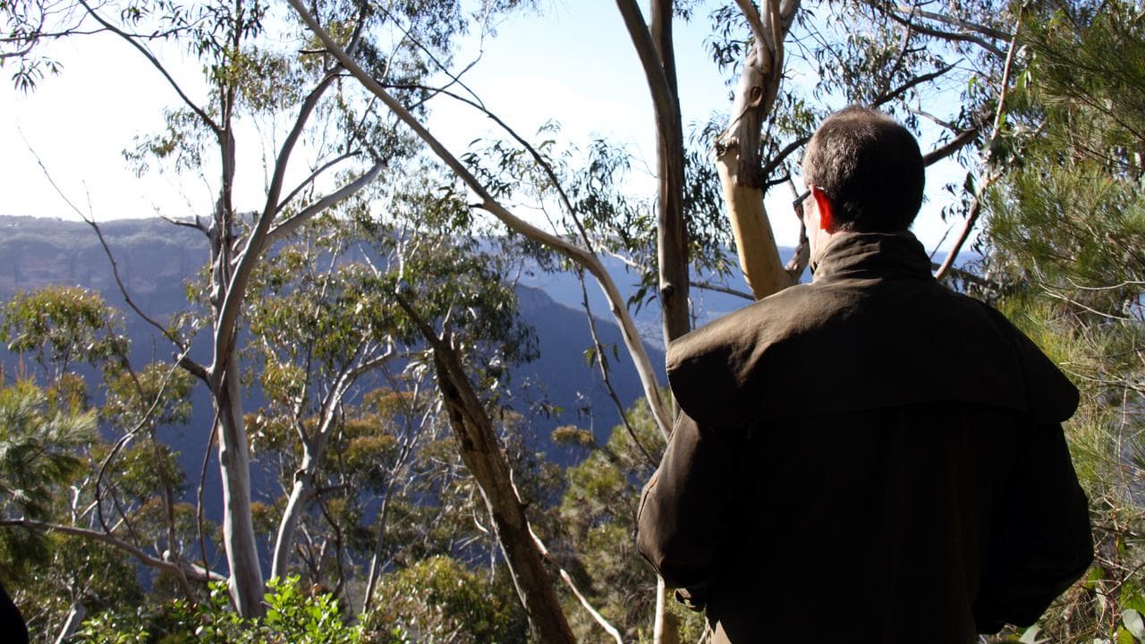 A hiker in the Blue Mountains