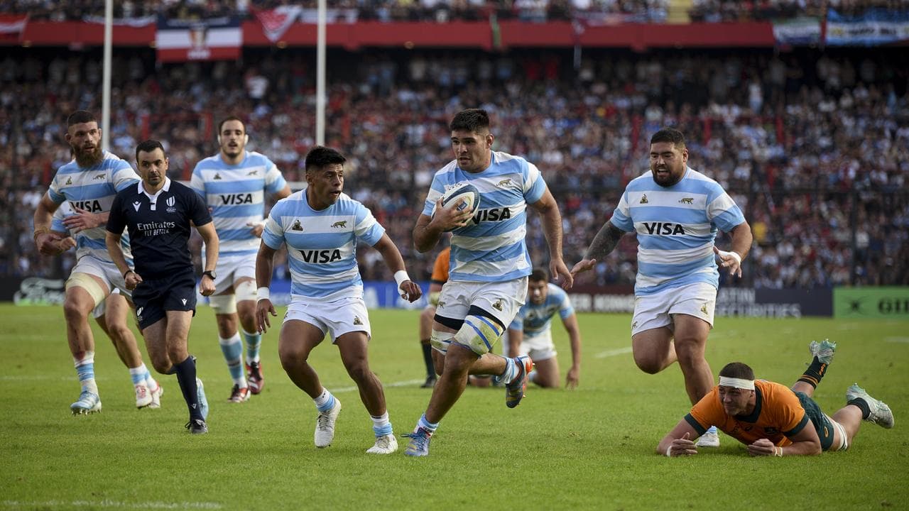 Wallabies versus Argentina.