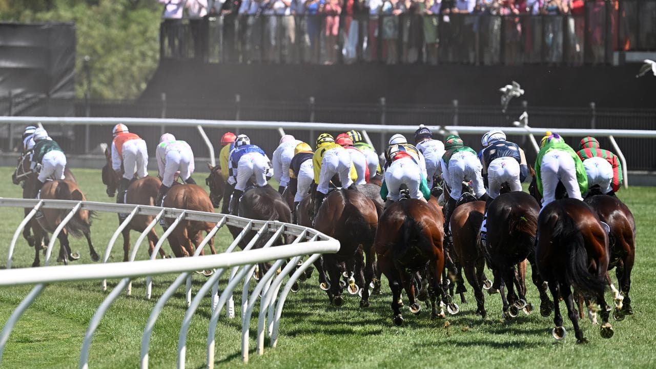 Horses make their way in the first lap of the 2023 Melbourne Cup