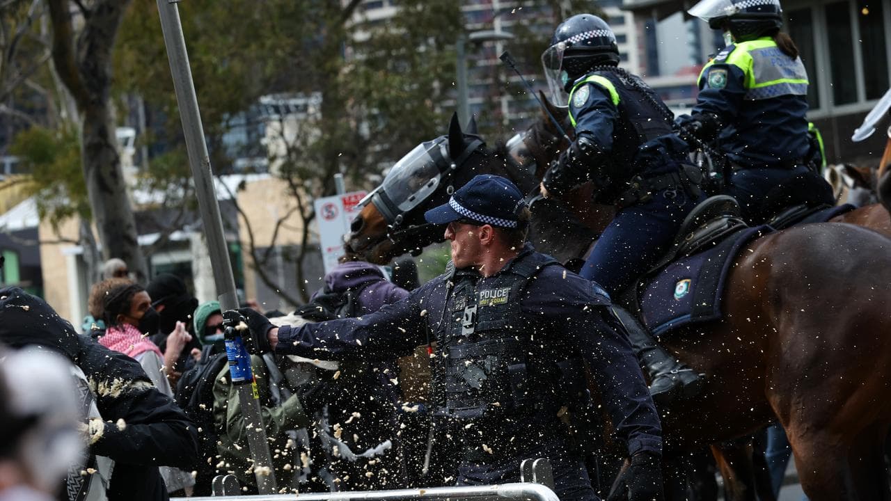 Police use capsicum spray during the protest (file image)